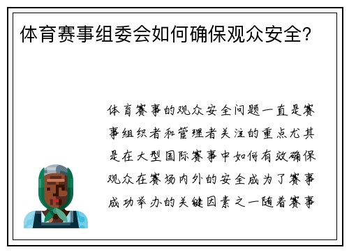 体育赛事组委会如何确保观众安全？