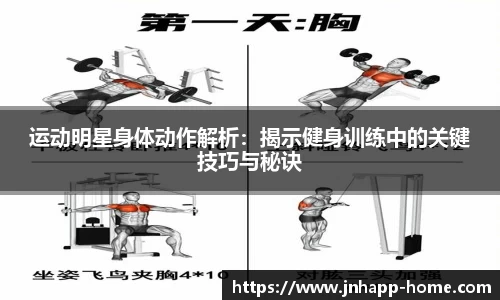 运动明星身体动作解析：揭示健身训练中的关键技巧与秘诀